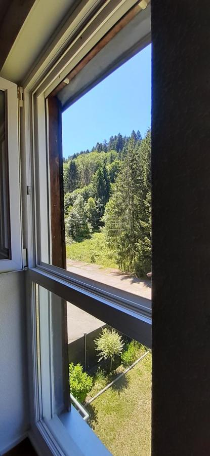 Apartamento Le Montagnard Gérardmer Exterior foto